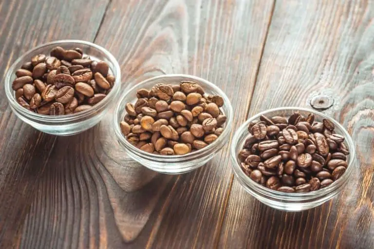 18 Different Coffee Bean Types: Find Your Favorite Quick & Easy