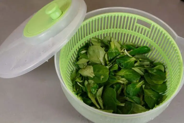 Do You Really Need a Salad Spinner? (5 Different Models)