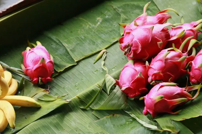 A pile of dragon fruits on top of a leaf