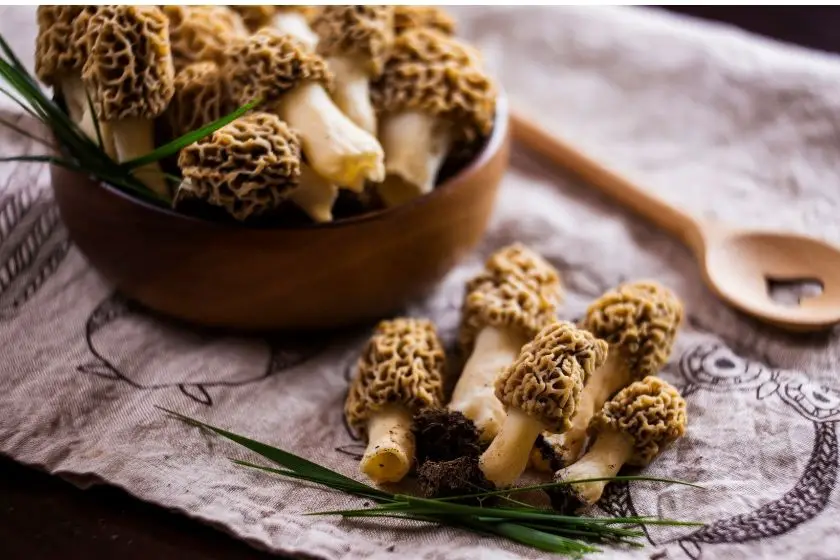 Morel mushrooms on a table cloth and bowl ready to be cooked.