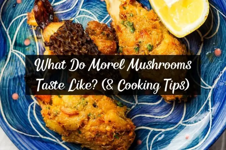 What Do Morel Mushrooms Taste Like? (& Cooking Tips)