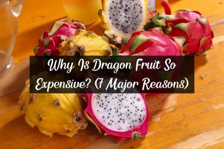 Why Is Dragon Fruit So Expensive? (7 Major Reasons)