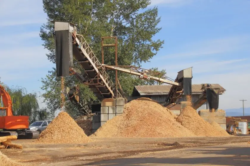 Wood chip industrial machine creating piles of wooden chips